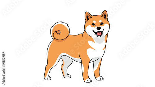 Happy shiba inu dog standing with a smiling face and a curled tail in a clean vector illustration style for pet lovers.