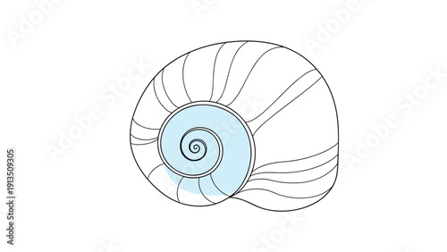 Detailed black line drawing of a nautilus sea shell with a light blue spiral center isolated on a plain white background.