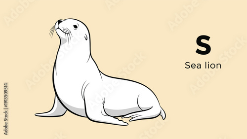 Stylized illustration of a white sea lion looking up, accompanied by the letter S and the words sea lion on a beige background.
