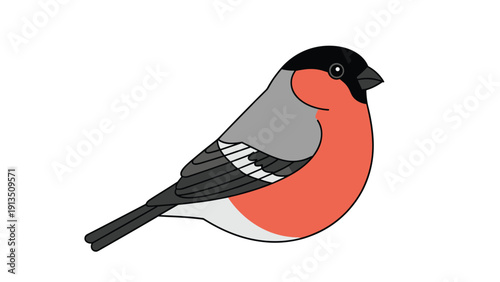 Detailed illustration of a bullfinch bird with its characteristic red breast, grey back, and black cap, set against a white background.