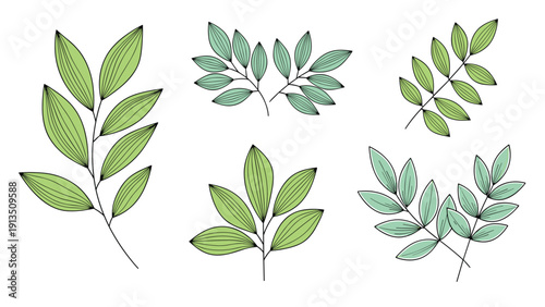 Set of five detailed green leaf cluster illustrations with fine line work, ideal for botanical and nature-themed designs.