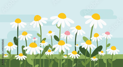 A cheerful illustration of daisies, featuring various blooms, and greenery
