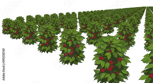 Strawberry Plants with Ripe Red Berries Hanging.