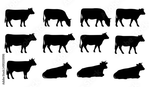 Minimalist Black Cow Silhouette Bundle with Side View Farm Animals in Multiple Natural Poses Vector Isolated on White Background