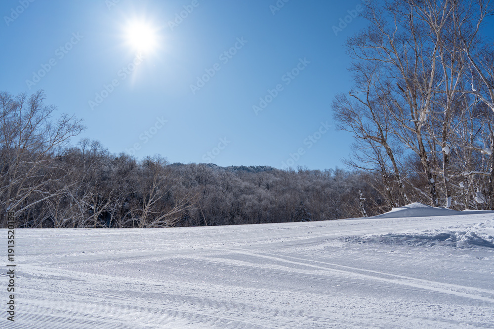 Obraz premium winter landscape snow covered branches