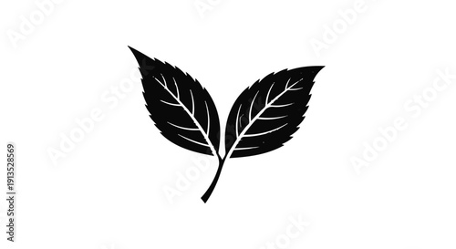 Two simple black leaves on a white background, a symbol of nature and growth