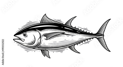 Tuna Fish Illustration - Hand Drawn Style