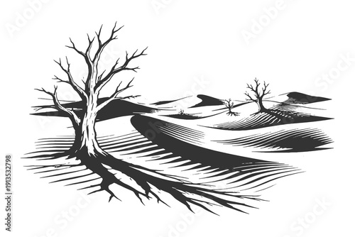 Vintage hand drawn engraving of a gnarled dead tree in a vast desert with rolling sand dunes under a clear sky, desolate nature vector illustration.