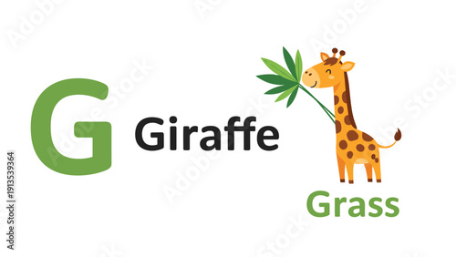 Educational poster for the letter G featuring a tall spotted giraffe eating leaves and the word grass at the bottom frame.