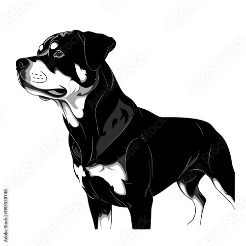 Elegant Rottweiler Dog Portrait Illustration, Black and Tan Coat, Confident Stance