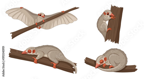 Illustration of a sloth climbing and resting on a tree branch from various viewpoints