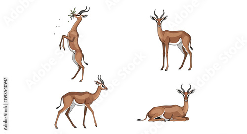 jumping, standing, walking, and lying down illustrations