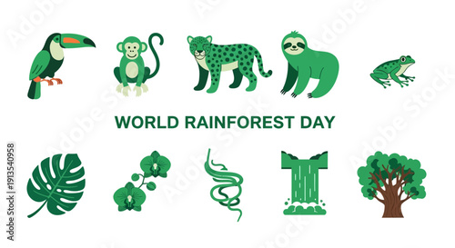Green illustrations of rainforest animals and flora above and below World Rainforest Day text