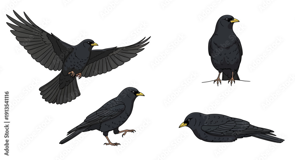 Fototapeta premium Blackbirds in various poses and actions, flying, standing, walking, and resting on a clean white background