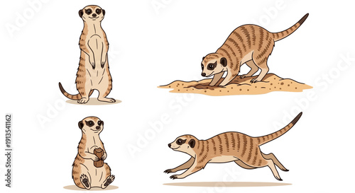 Meerkats in various poses standing, sitting, and running on sandy terrain from different viewpoints.