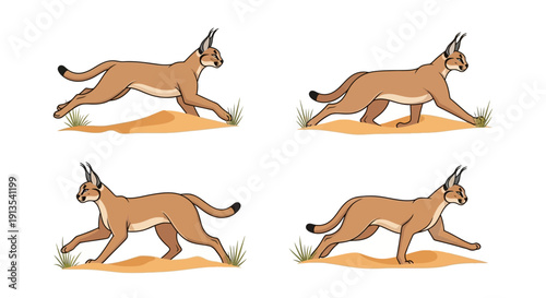 Illustration of a running cat in various poses on a sandy terrain viewed from the side