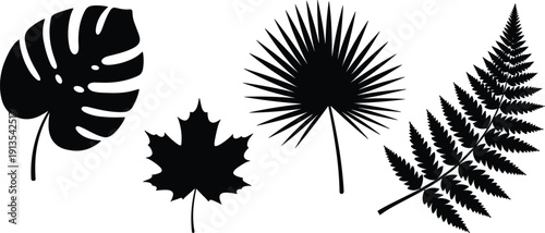 Tropical Leaf Silhouettes Set Featuring Black Monstera Maple Palm and Fern Frond Shapes for Botanical Nature Design Elements