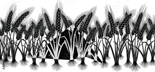 Black and white wheat field silhouette illustration, organic cereal grain stalks vector, agriculture farm harvest design, isolated botanical plant sketches