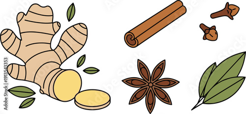 Aromatic Spice Set Featuring Fresh Ginger Root Cinnamon Stick Star Anise Cloves and Bay Leaves for Cooking and Herbal Medicine