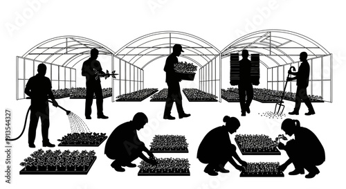 Farmers tending to plants in a greenhouse, nurturing growth and cultivating the land with care and attention to detail