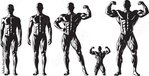 Silhouette of muscular men in various poses and sizes