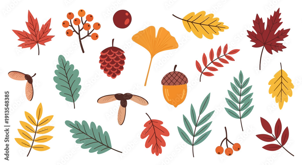 Obraz premium Assorted autumn leaves and foliage arranged in a decorative pattern