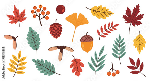 Assorted autumn leaves and foliage arranged in a decorative pattern