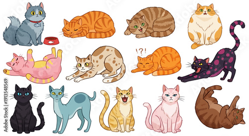 Various cats in different colors and positions illustrated in a playful manner
