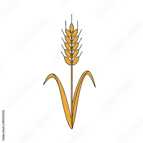 Stylized Wheat Ear Illustration for Agriculture and Food Industry Designs