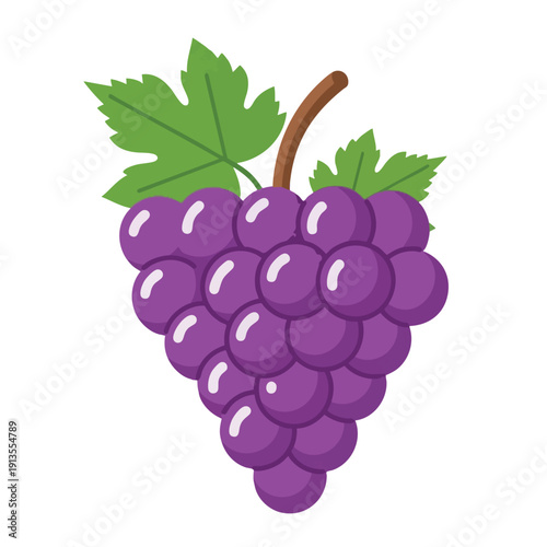 Fresh Purple Grape Cluster on a Vine for Healthy Fruit Consumption and Natural Food Production
