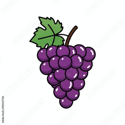 Fresh Bunch of Juicy Purple Grapes for Healthy Snacking and Collage Design