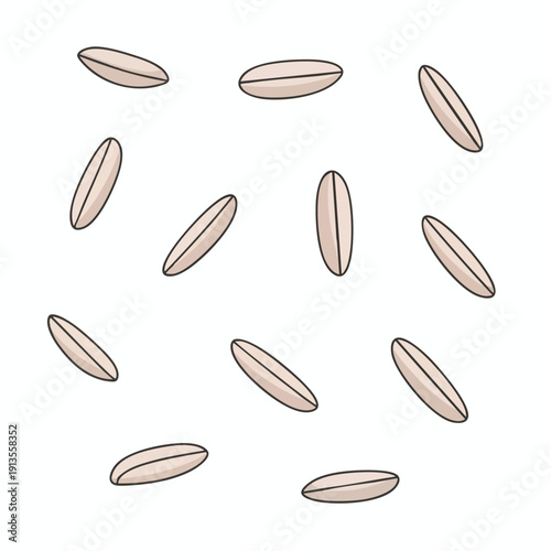 Healthy Whole Grain Organic Seeds for Cooking and Nutrition