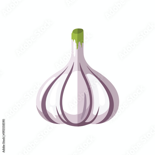 Fresh Garlic Bulb with Green Sprout on White Background