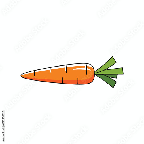 Fresh Carrot with Green Leaves on White Background