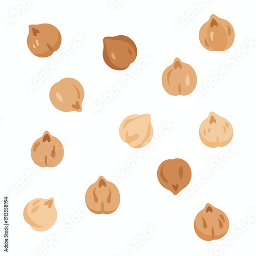 Assortment of Fresh Hazelnuts for Healthy Nutrition and Cooking