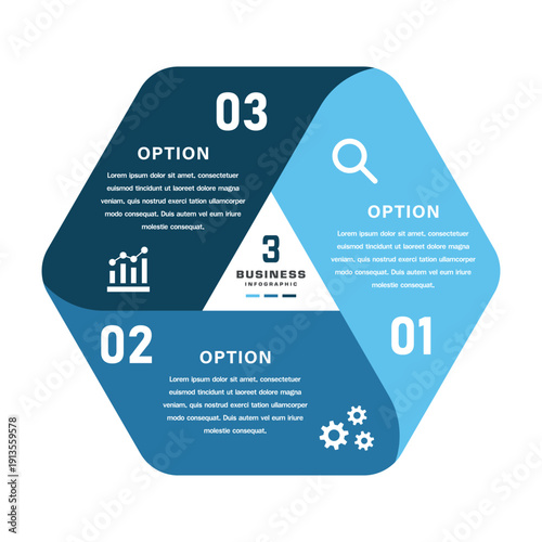 3 Segment Hexagonal Business Infographic with Icons for Presentation