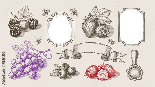 Assortment of fresh fruits vegetables and dairy products. hand drawn set