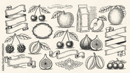 Cherry blossom tree hand-drawn vector illustrations. healthy food illustration