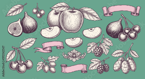 Assortment of fresh fruits vegetables and dairy products. hand drawn set