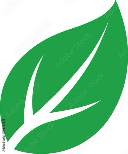 Green leaf icons set. Leaves icon on isolated background. Collection green leaf. Elements design for natural, eco, vegan, bio labels.