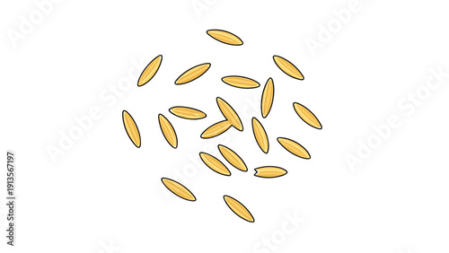 Small pile of individual long grain white rice seeds scattered on a clean white background for culinary and agricultural themes.