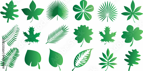 Collection of diverse green leaf silhouettes arranged on a white background