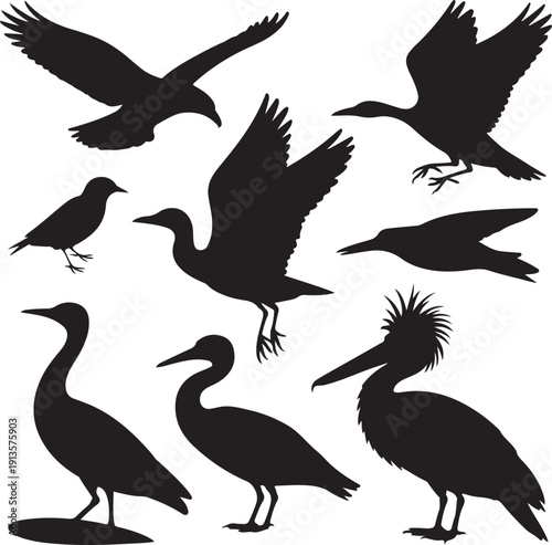 black silhouettes of various birds in different poses on white background