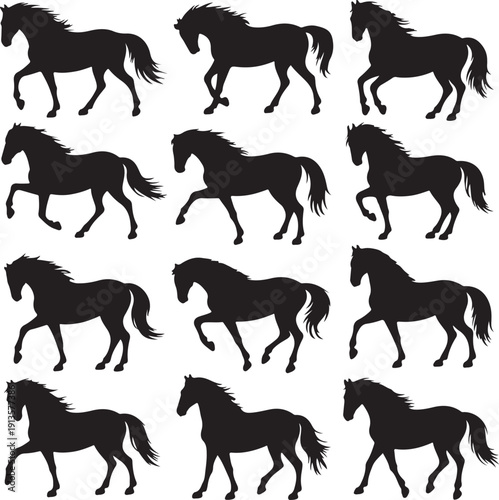 blacksilhouettesofhorsesinvariousposes