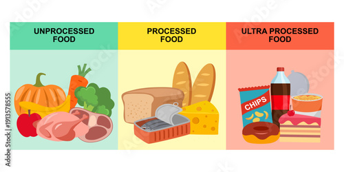 Comparison of Real Food, processed food, ultra processed food