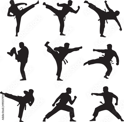 Martial arts silhouettes of men performing various karate kicks and punches