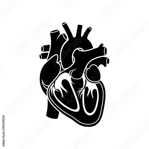 Anatomical Heart Silhouette Icon - Medical Symbol