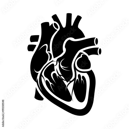 Black and White Icon of Human Heart Anatomy, Medical Symbol