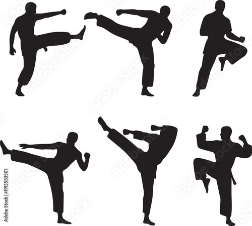 Silhouettes of people performing various martial arts kicks and punches