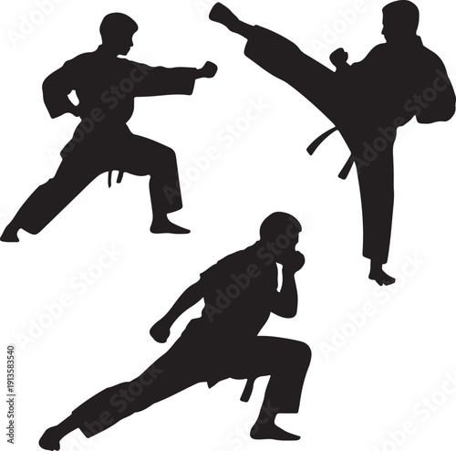 Silhouettes of people practicing karate poses and movements isolated on white background